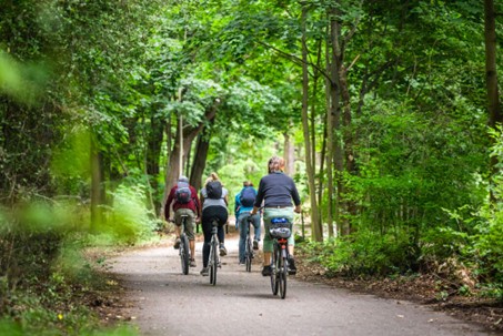 Fahrradtour durch den Tegeler Forst (@visitberlin, Foto: Chris Martin Scholl)